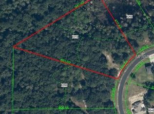 8828 Woodleaf Blvd, Wesley Chapel, FL 33544