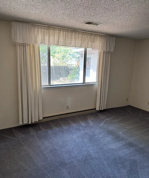Formal living room/office