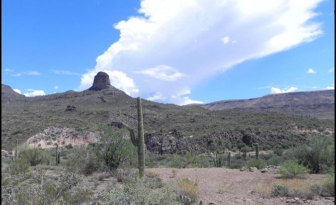 2nd image of 2.5 Acres