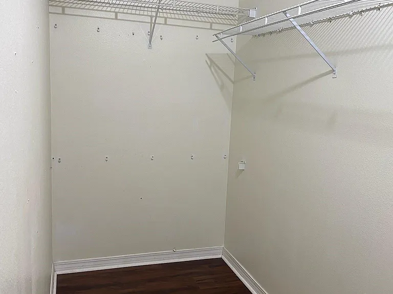 Master BR Closet