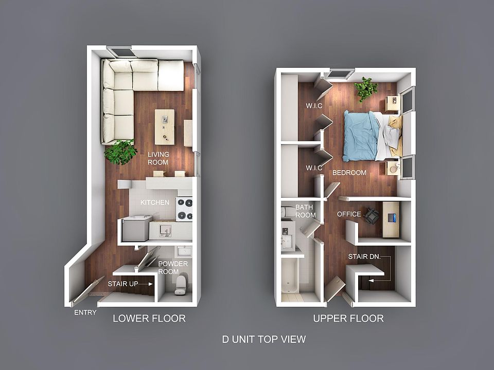 layout