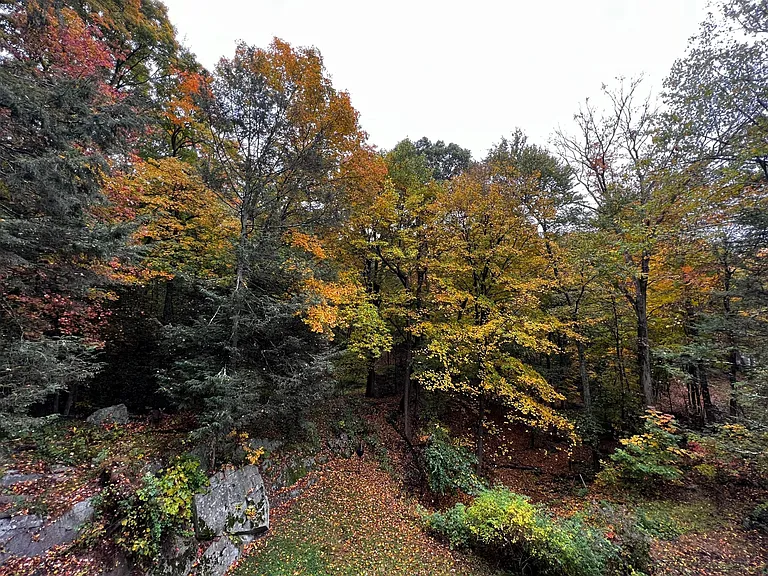 73 Hemlock Rd — Photo 11
