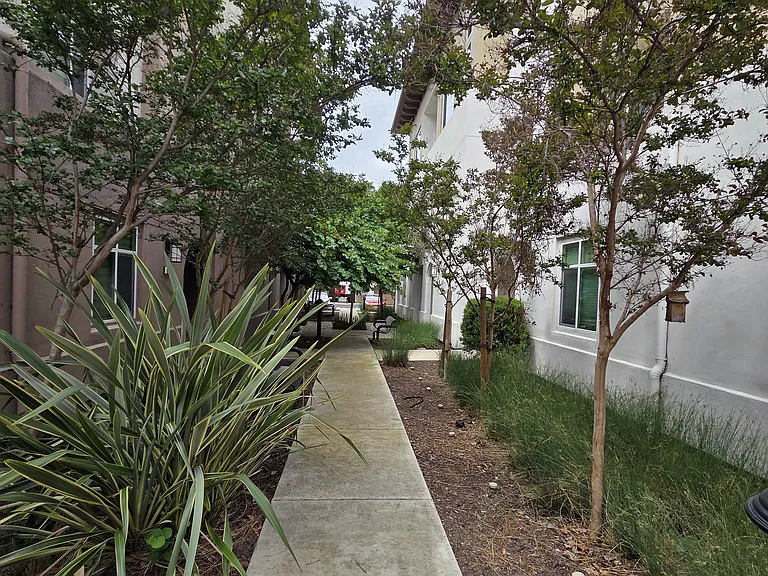 5218 S Esprit Loop — Photo 19