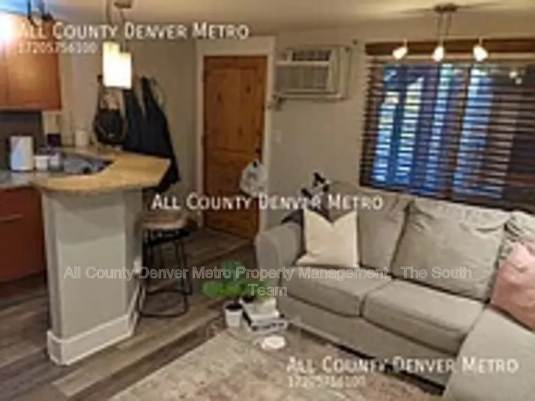195 S Pennsylvania St #204 — Photo 7