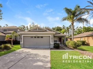 30634 White Bird Ave, Wesley Chapel, FL 33543