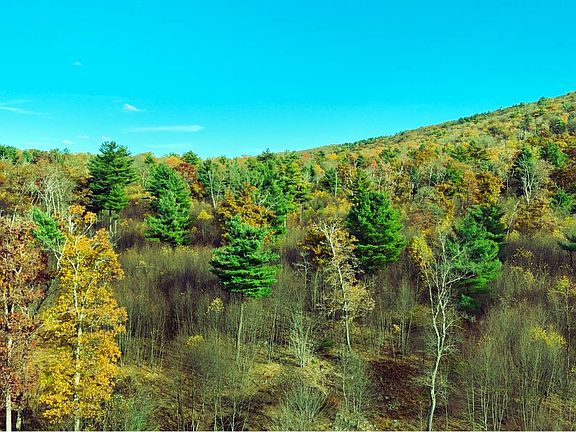 3rd image of 2 Ducks Gap Rd