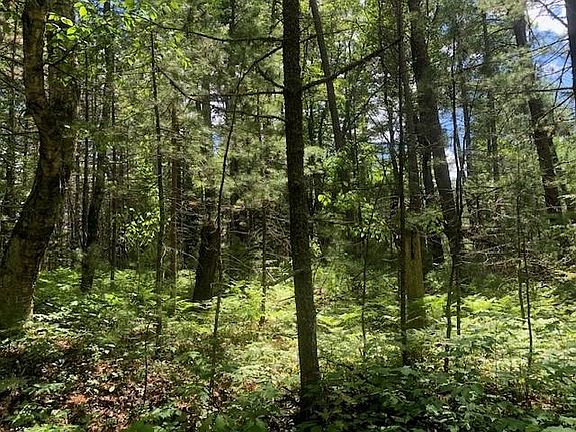 4th image of LOT On Camp Twelve Rd
