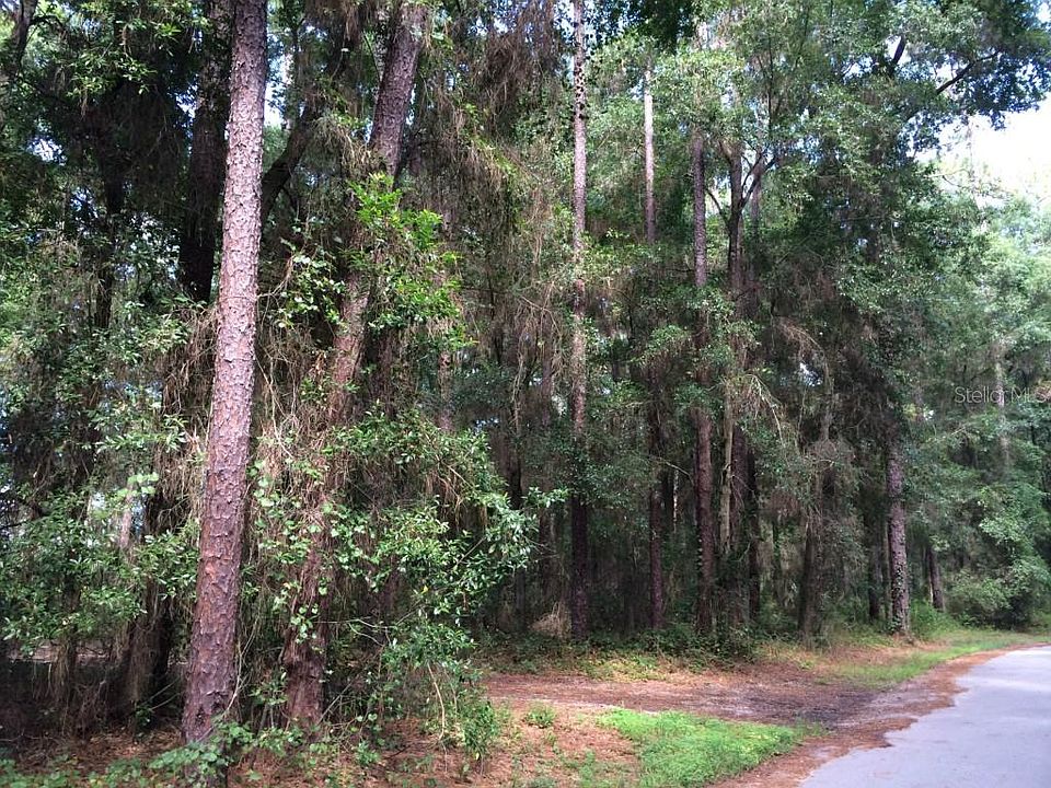 1st image of Taylor Woods Lot 2