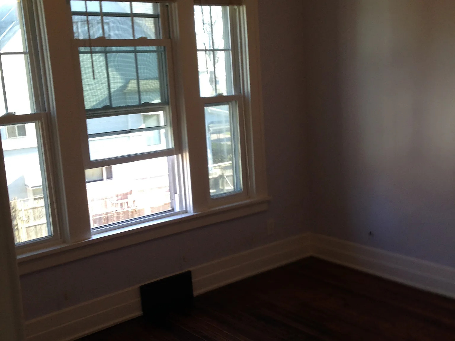 1 bed, 1000 sqft, $1,250 — Photo 2
