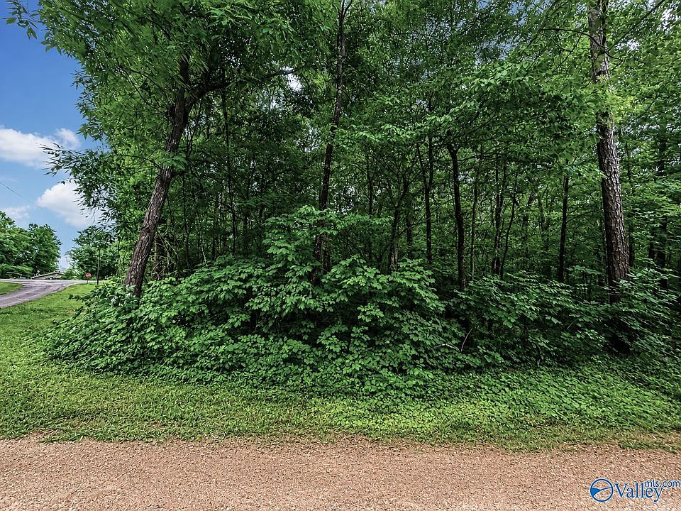 1st image of 37 County Road 683
