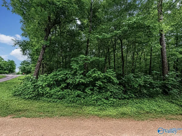 37 County Road 683, Cedar Bluff, AL 35959