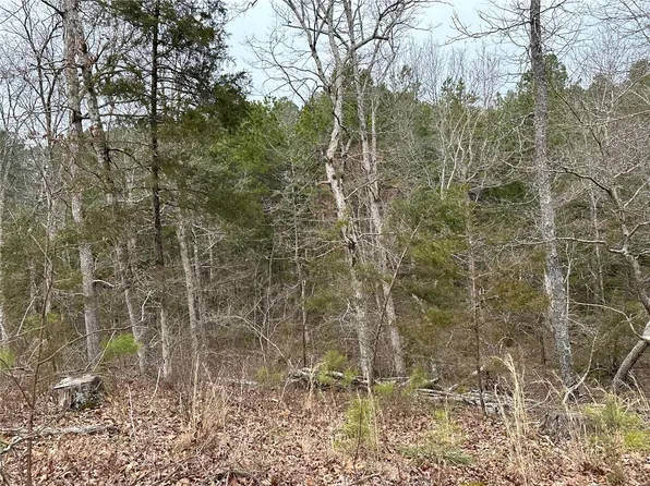 0 County Road 355, Dora, MO 65637