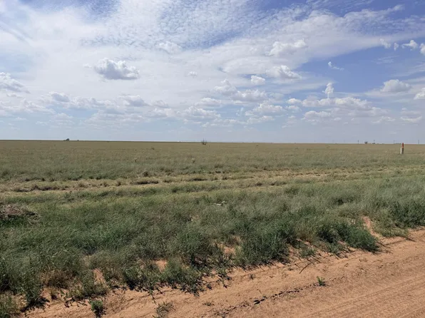 11225 Strawberry Ln, Hartley, TX 79044