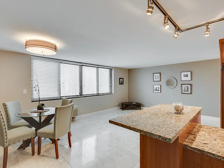 1221 N Dearborn Pkwy #1210S — Photo 7