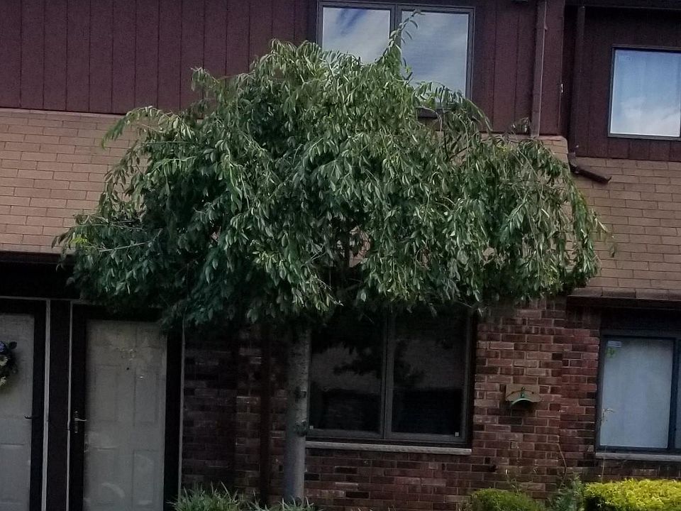 1st image of 59 Stonegate Dr #241