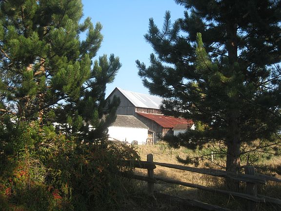 Barn through the trees