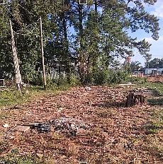 Laurel Pines Mobile Home Park — Photo 2