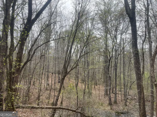 0 Bevis Rd Parcel 4, Franklin, GA 30217