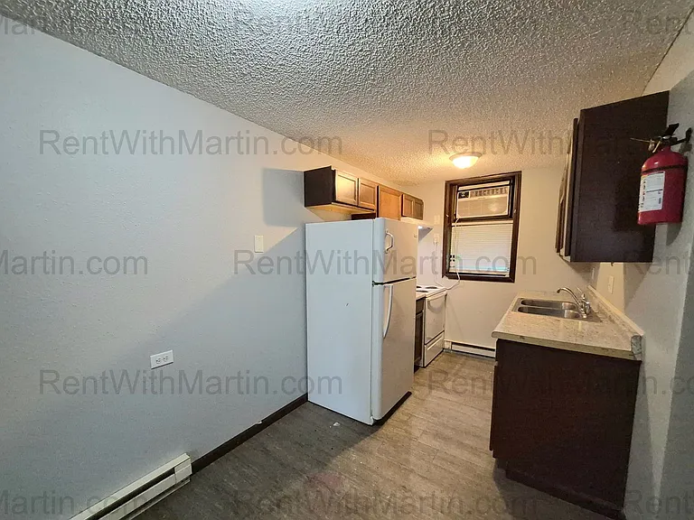 1009 Thorndale Ave — Photo 5