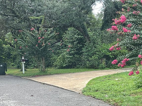 Driveway Entry from street