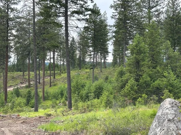 LOT-36XX Sheridan Rd #F, Republic, WA 99166