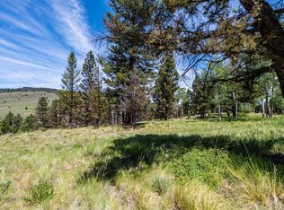 1021 Slumgullion Trl, Powderhorn, CO 81243