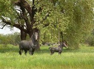 9153 Shire Oaks Ln, Elk Grove, CA 95624