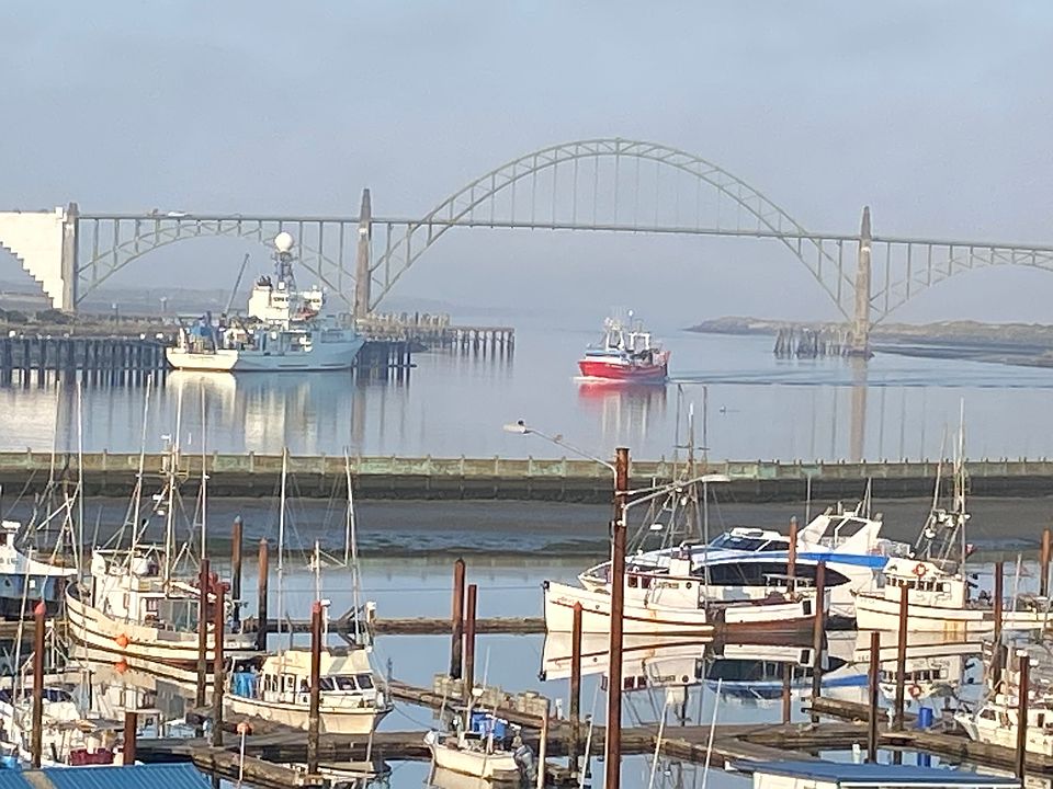 Get a front-row view of harbor action.