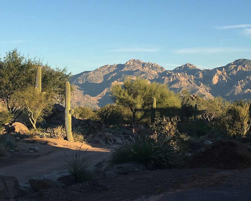 2nd image of 14390 N Mickelson Canyon Ct