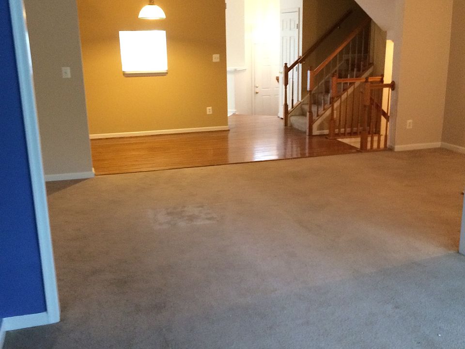 Main Floor from Rear to Front of home