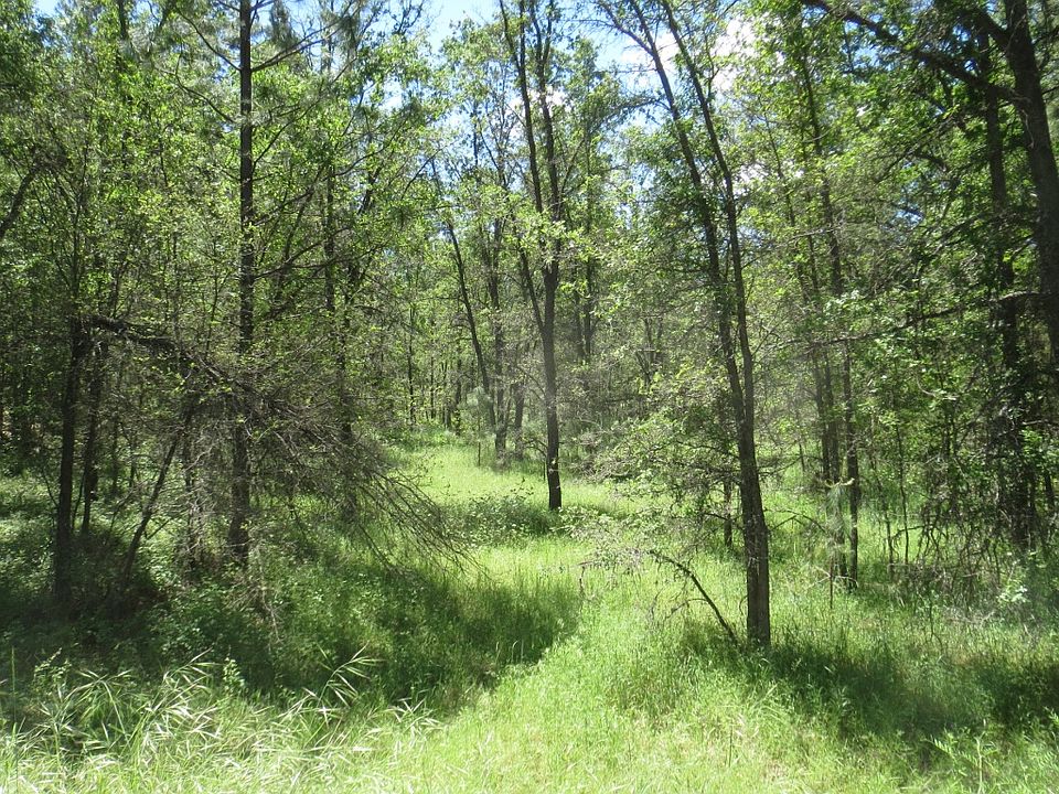 2nd image of 22001 Meadowbrook Dr