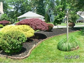 1st image of 705 Fox Tail Dr