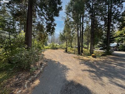 54432 McKenzie Hwy #17, Blue River, OR, 97413