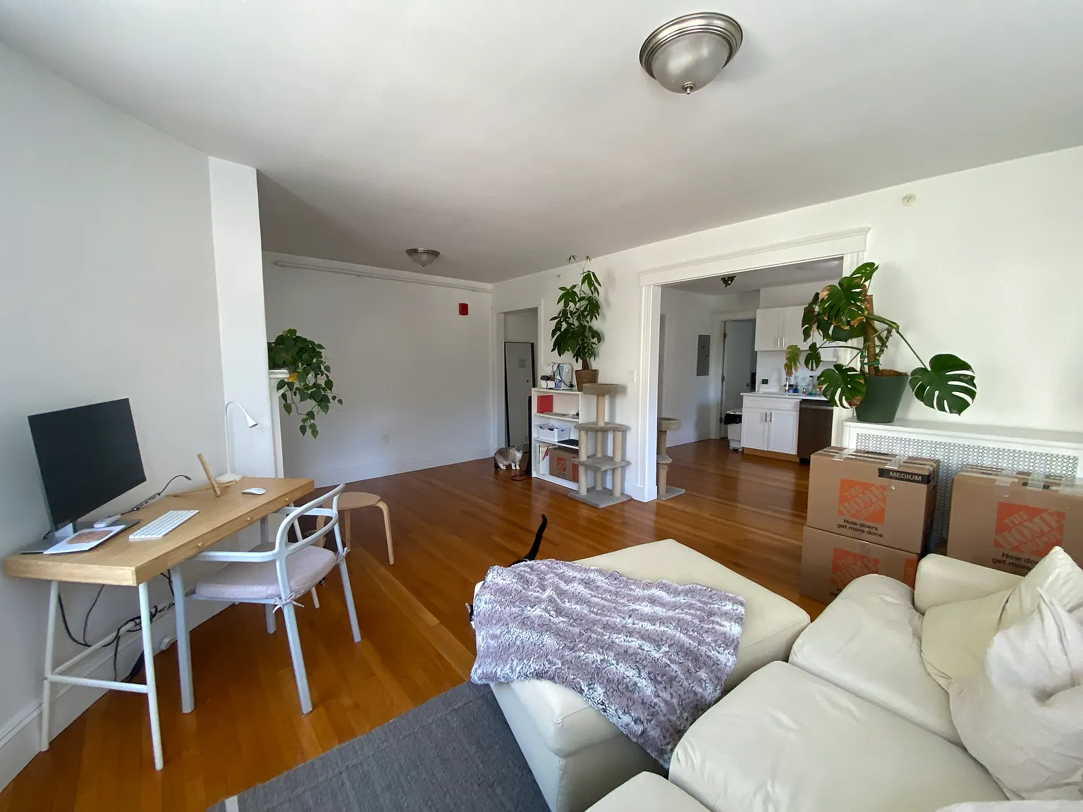 1 bed, 750 sqft, $2,600 — Photo 2