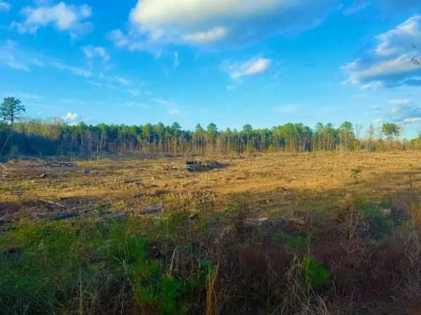 0 Ian Johnson Rd, Boyce, LA 71409