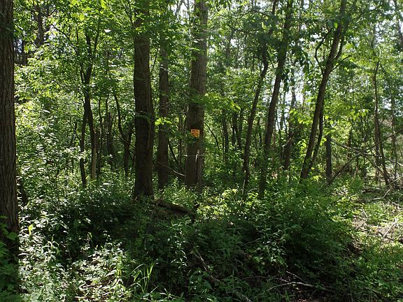 5th image of 16063 5 Mile Rd