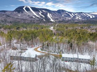 12 Lodgepole Lane #12, Newry, ME 04261