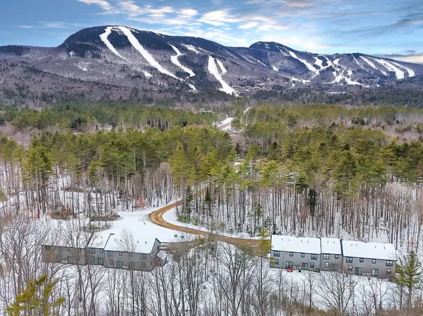 12 Lodgepole Lane #12, Newry, ME 04261