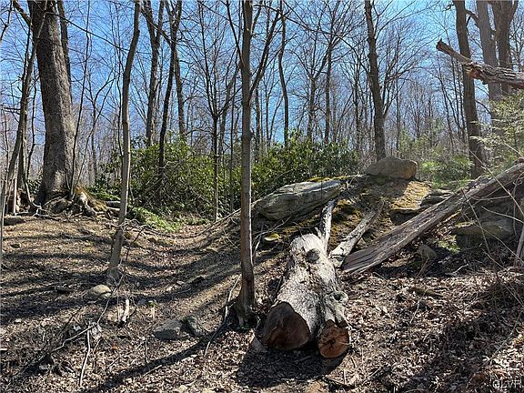 2nd image of 0 Mountain Ave