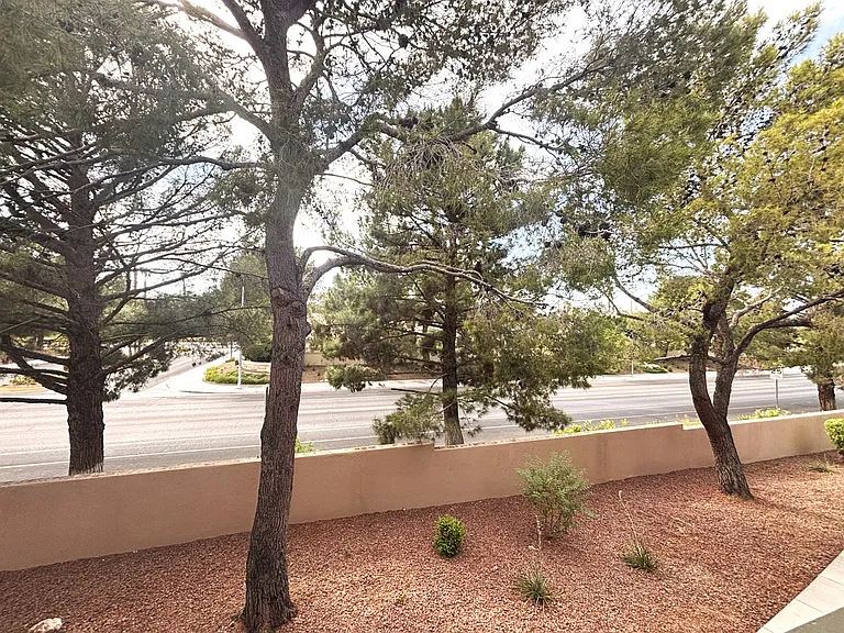 7730 Secret Shore Dr #206 — Photo 35