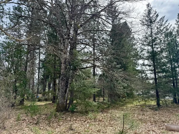 N Old Stage Rd, Cave Junction, OR 97523