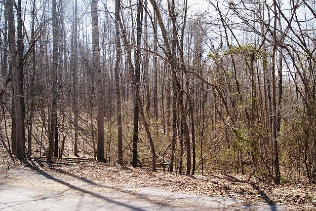 1st image of Beeler Road #117