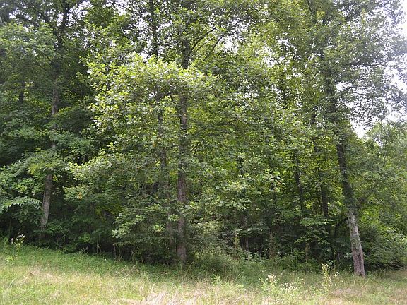 2nd image of 9999 Gray Ln