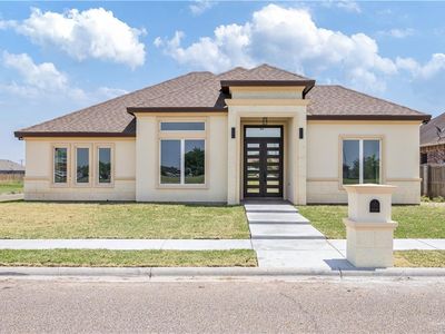2400 Windmill Palm, Rio Grande City, TX, 78582