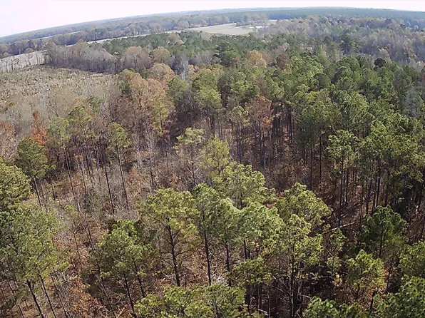 Natchez Trace Country Rd #80, Woodland, MS 39776