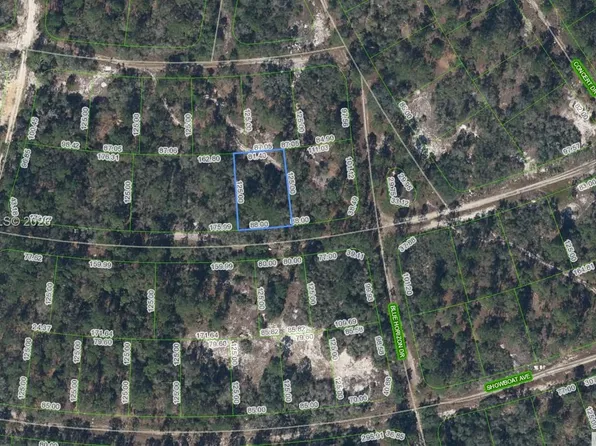 358 Cartier Ave, Lake Placid, FL 33852