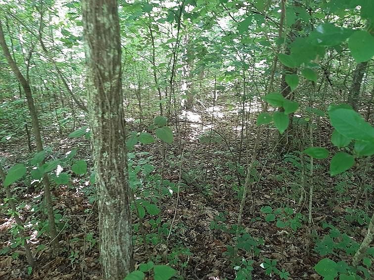 2nd image of Saddleridge Dr