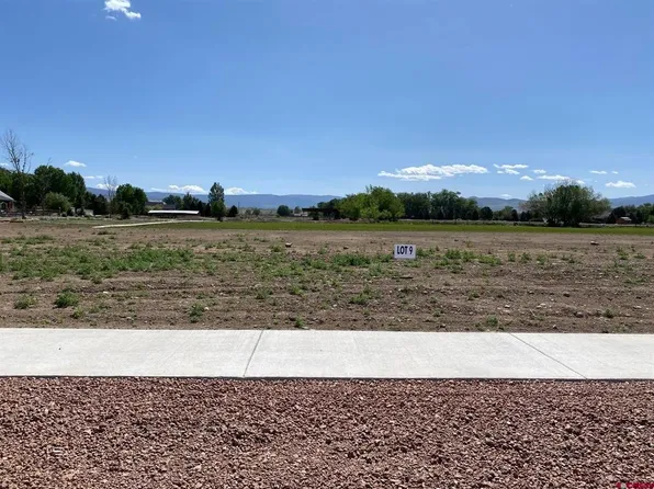 Lot 9 6700 Road, Montrose, CO 81401