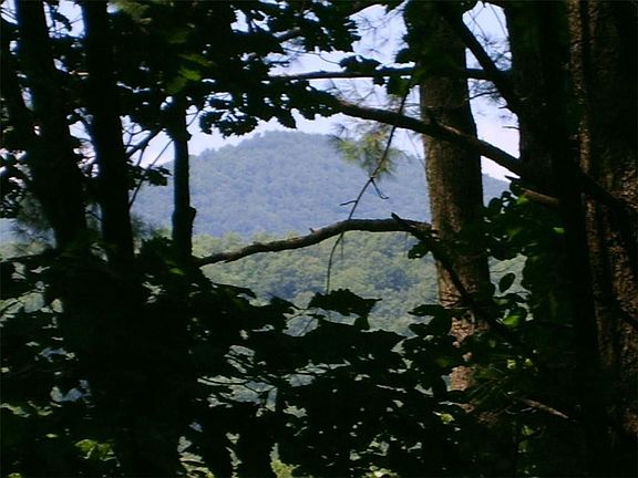 4th image of 629 Blue Pine Ct Lot 629
