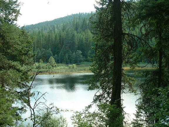 2nd image of 49XX Sheep Creek Rd